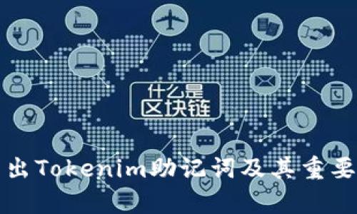 如何导出Tokenim助记词及其重要性解析